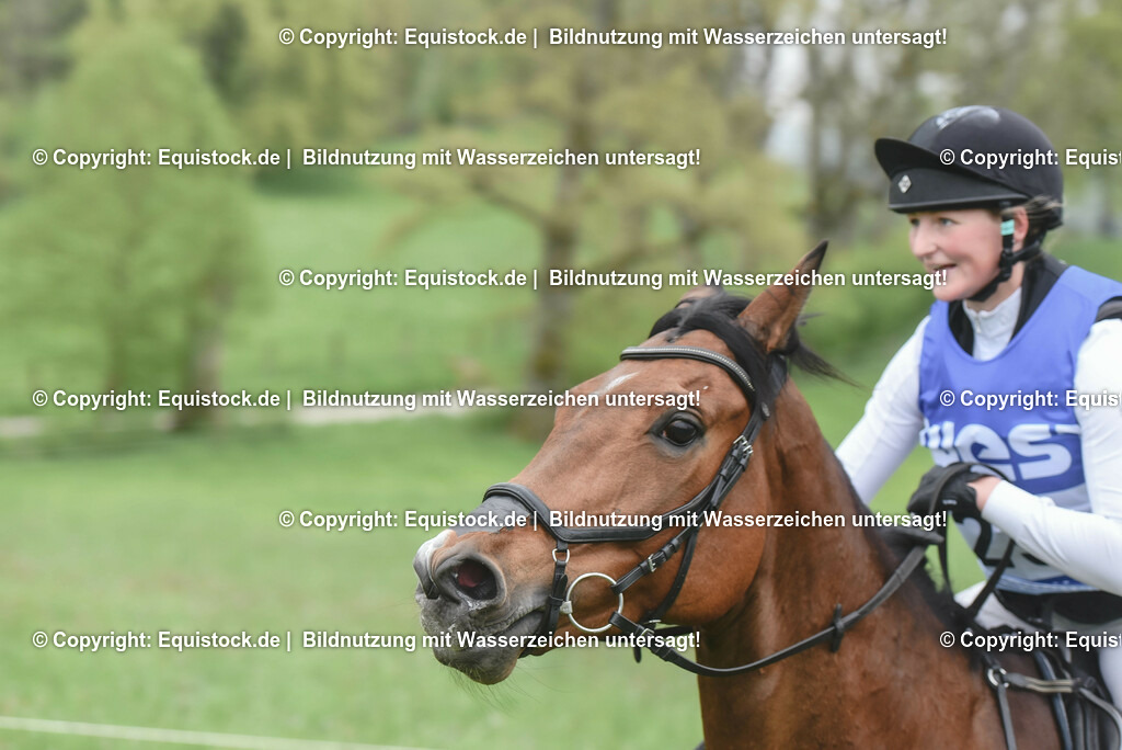 20230513_CCI4_Gelände_0326 | equistock