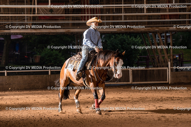 Erbach Tag 2-1075 | dv-media-shop - Realized with Pictrs.com