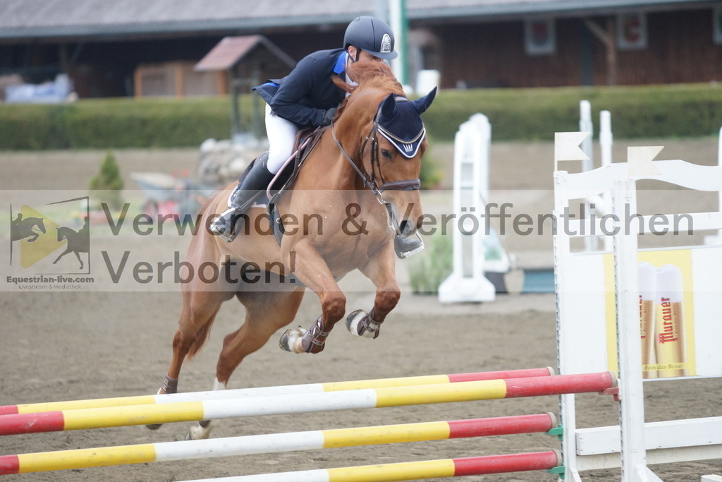 DSC00311 | equestrian-live-com