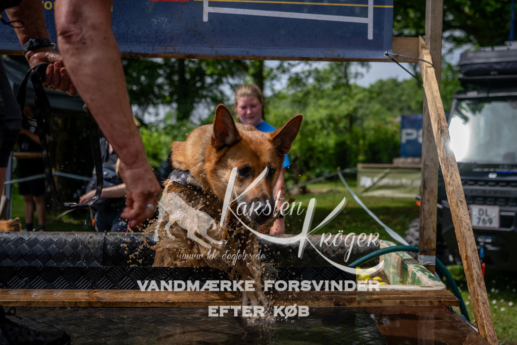 1117_ZZ93609 | kk-dogfotos