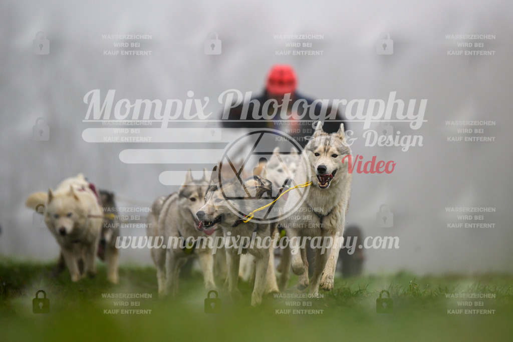 MompixPhotography_CDF2023_FFST_Di_Kart-94 | PayLife
