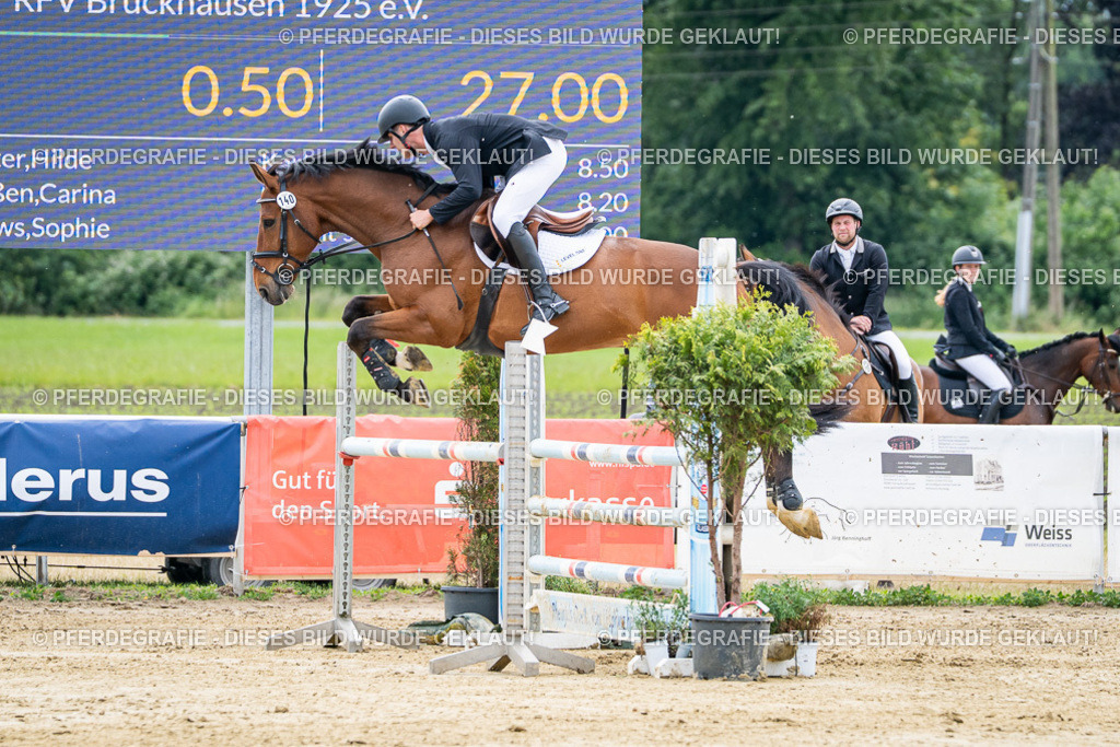 DSC04935 | Pferdegrafie