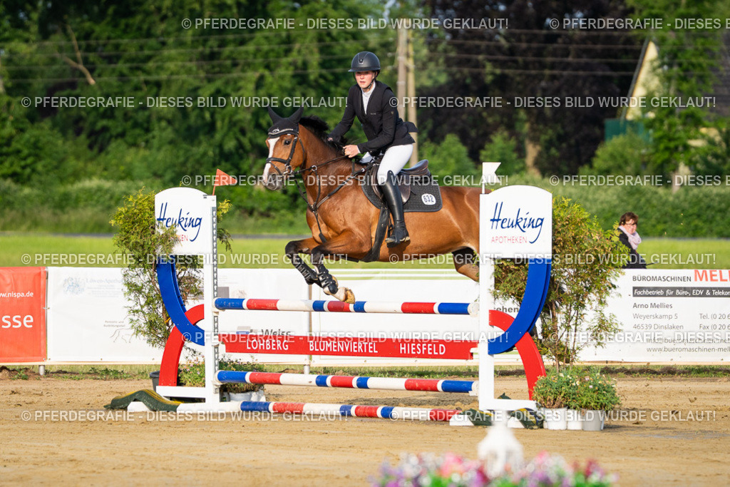 DSC02057 | Pferdegrafie