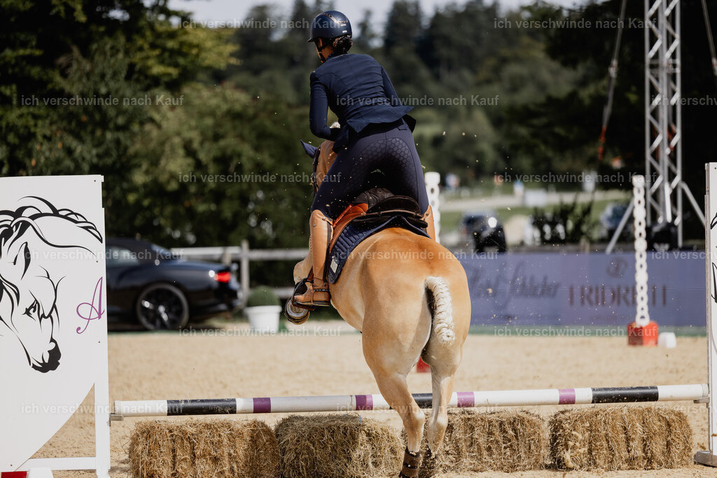 Tanesha5FHC2025-20162 | working equitationturnier fotograf videograf stoibphotography marixx film working equitation deutschland reitsport turnierfotografie eventfotografie equestrian events