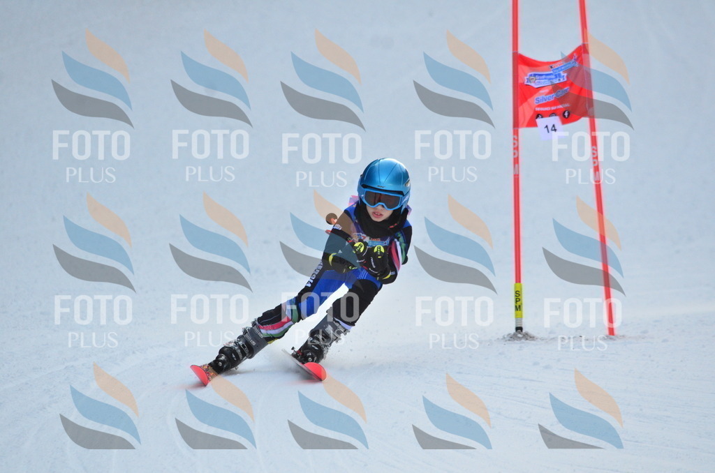 A6750 | holidayphoto