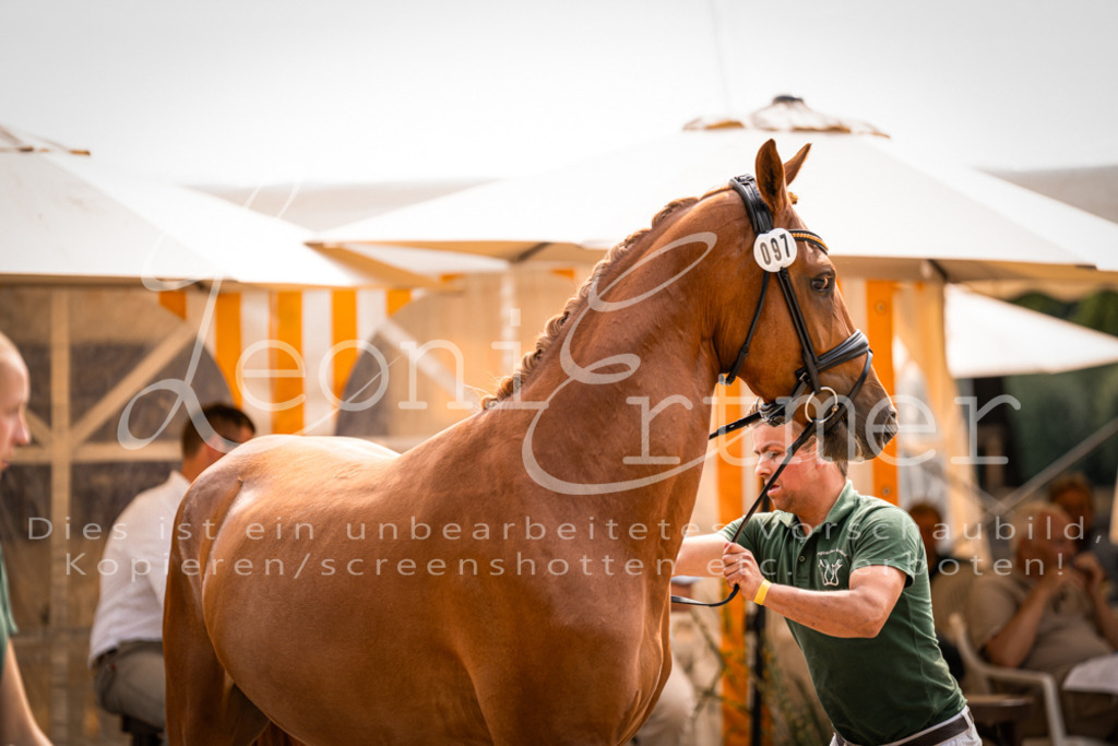 7.Fr00043 | Leoni Ertmer Photography - Realisiert mit Pictrs.com