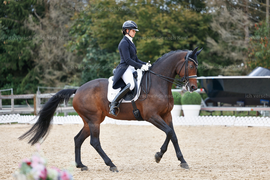 12-110-DRESSUR  S___  -StoibPH-5292 | working equitationturnier fotograf videograf stoibphotography marixx film working equitation deutschland reitsport turnierfotografie eventfotografie equestrian events