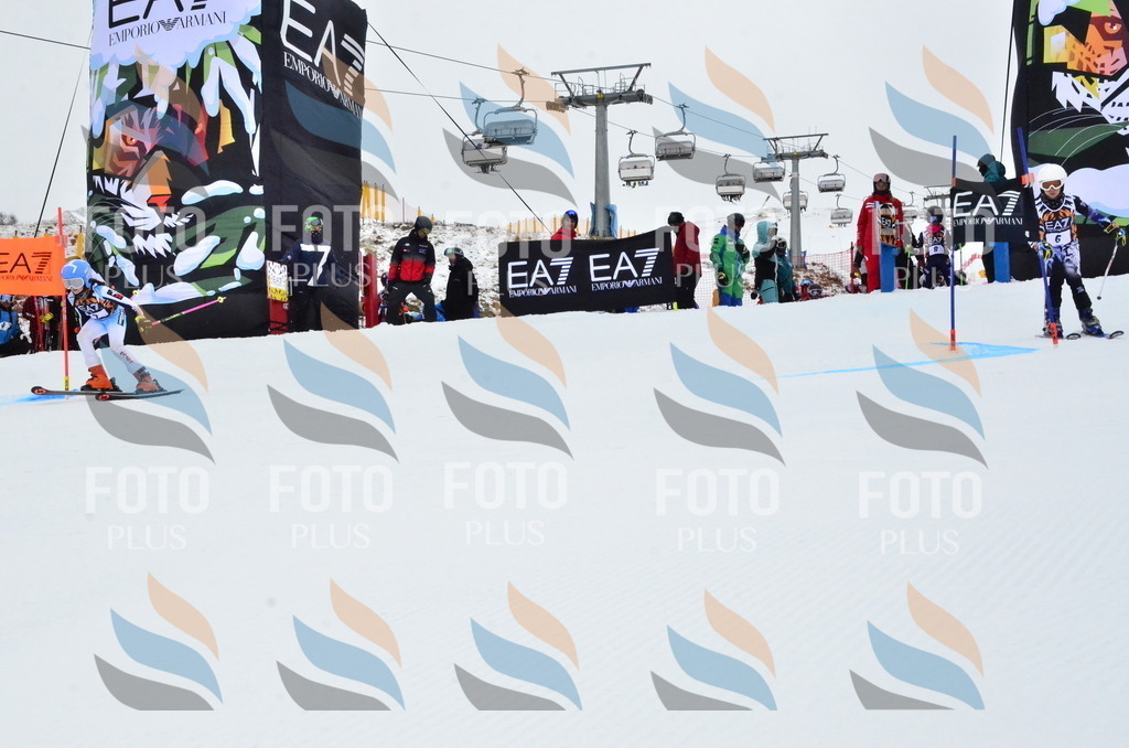 _ELE3135 | holidayphoto