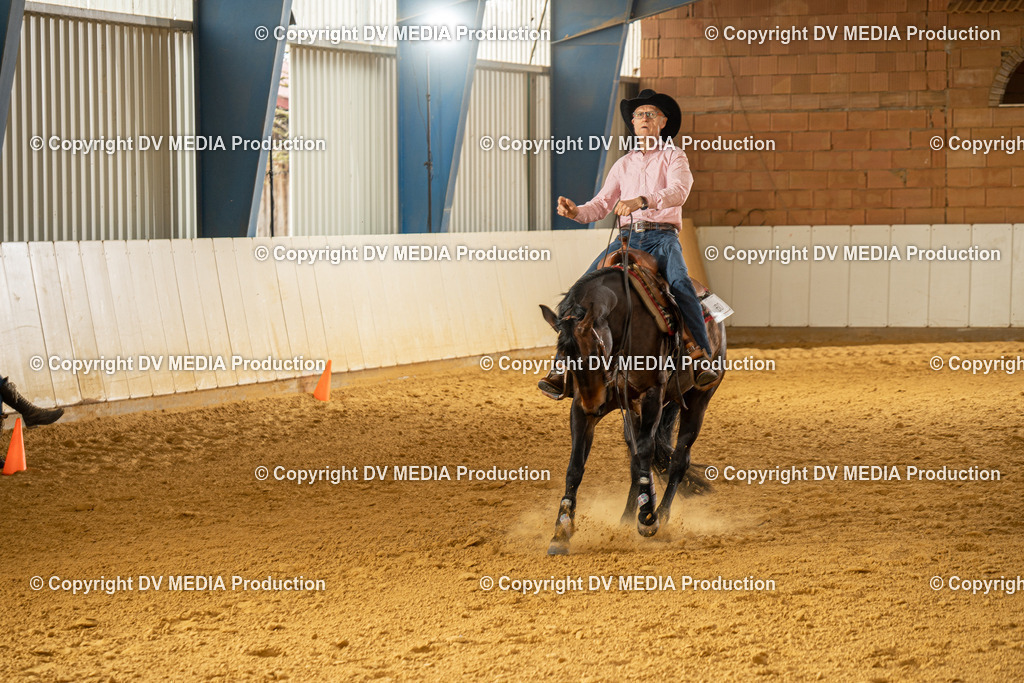 MIT01327 | dv-media-shop - Realisiert mit Pictrs.com