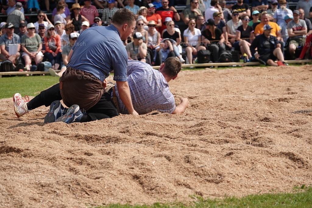DSC04541 | Schwingen - Realisiert mit Pictrs.com