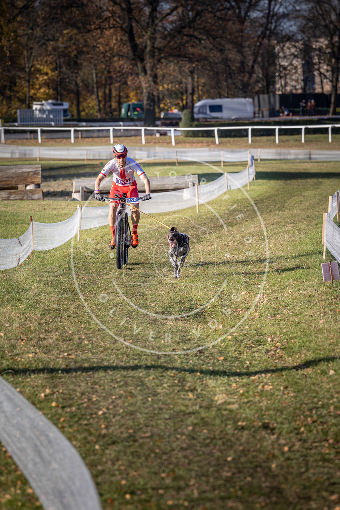 CaniXpix_DV3A2419 | Hundefotografie, Tierfotograf, Pfotenfotografie, Fotoshooting Hund, Hunde Portrait, Hundesport, Hundeportraits, Heideshooting, Hunde, Sportfotograf, Hundefotograf, Turnierhundsport, THS,  - Realisiert mit Pictrs.com