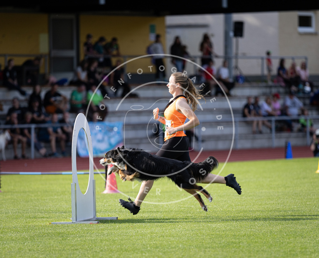 Pfotenfotografie_DV3A2726 | Hundefotografie, Tierfotograf, Pfotenfotografie, Fotoshooting Hund, Hunde Portrait, Hundesport, Hundeportraits, Heideshooting, Hunde, Sportfotograf, Hundefotograf, Turnierhundsport, THS,  - Realisiert mit Pictrs.com