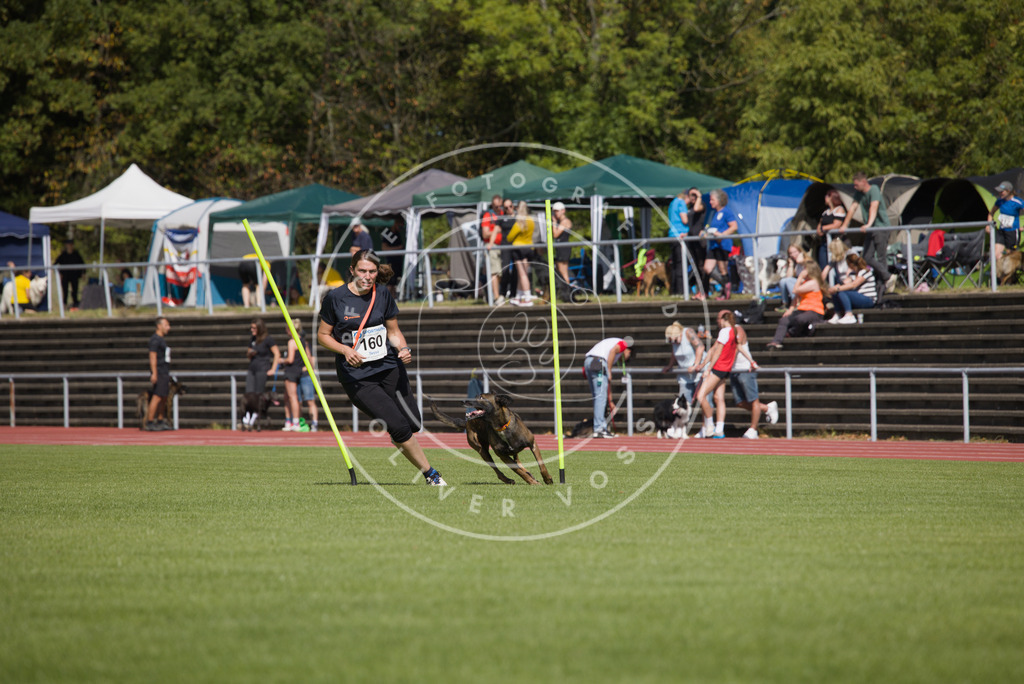 0L8A3220 | Hundefotografie, Tierfotograf, Pfotenfotografie, Fotoshooting Hund, Hunde Portrait, Hundesport, Hundeportraits, Heideshooting, Hunde, Sportfotograf, Hundefotograf, Turnierhundsport, THS,  - Realisiert mit Pictrs.com