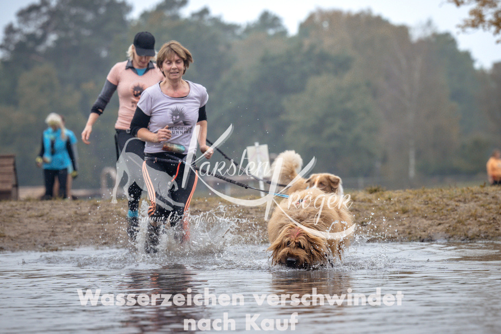 1003_ZZ97539 | kk-dogfotos