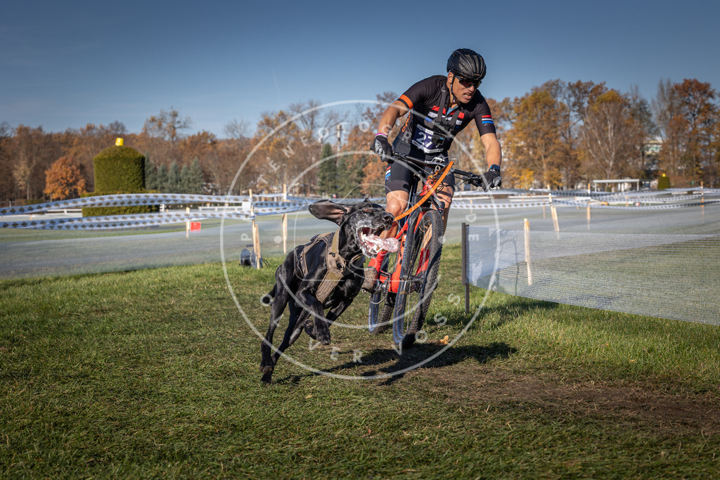 CaniXpix_0L8A5240 | Hundefotografie, Tierfotograf, Pfotenfotografie, Fotoshooting Hund, Hunde Portrait, Hundesport, Hundeportraits, Heideshooting, Hunde, Sportfotograf, Hundefotograf, Turnierhundsport, THS,  - Realisiert mit Pictrs.com