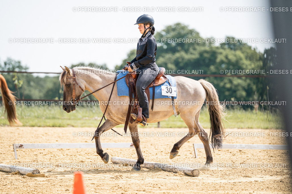 DSC09908 | Pferdegrafie