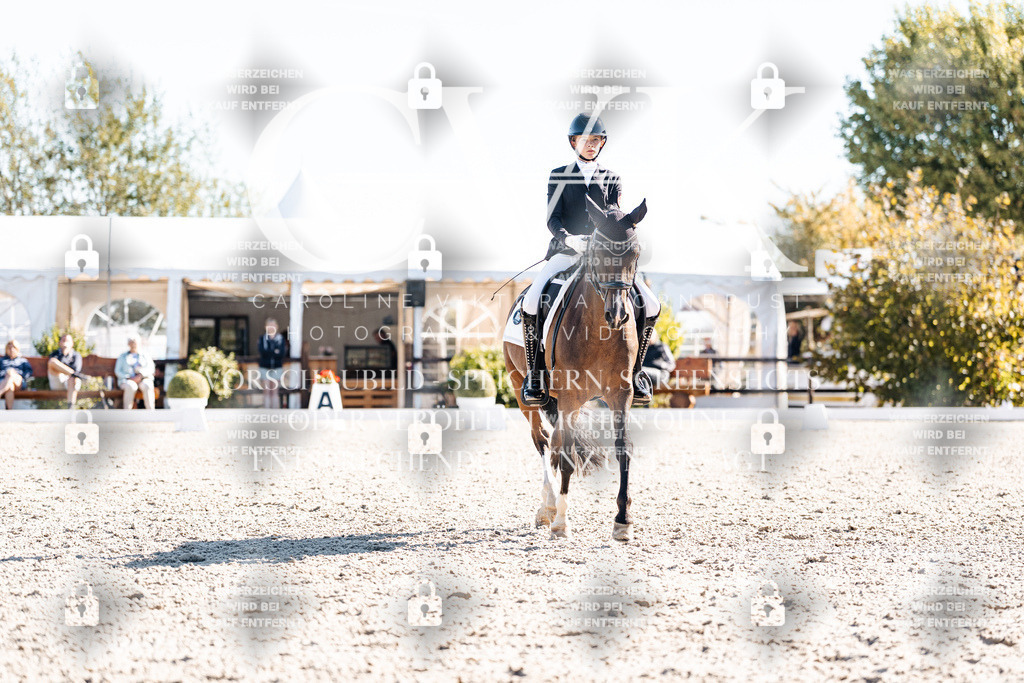 CK908528 | Turnierfotografie Pferdefotografie Trier Rheinland-Pfalz Pferdesport Reitsport Tierfotografie Sportfotografie Pferdevideo Pferdevideografie Equestrianvideography equestrianphotography  - Realisiert mit Pictrs.com