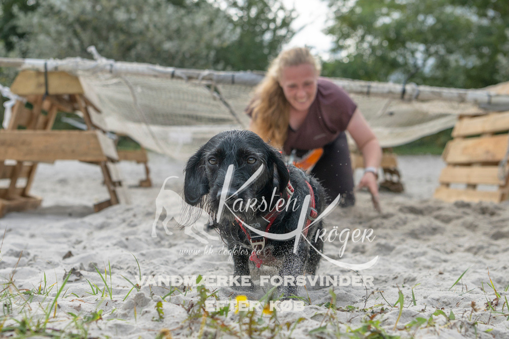 1142_ZZ98708 | kk-dogfotos