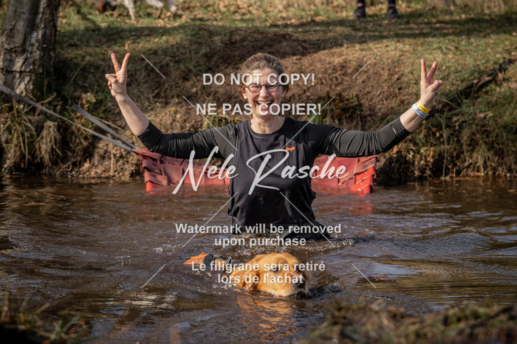 nelerasche_FS1330-1400_264 | nelerasche