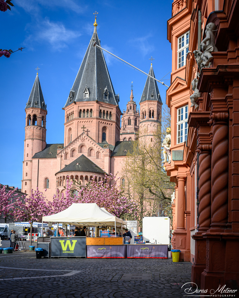 Das Marktfrühstück in Mainz | Das Marktfrühstück in Mainz auf dem Liebfrauenplatz