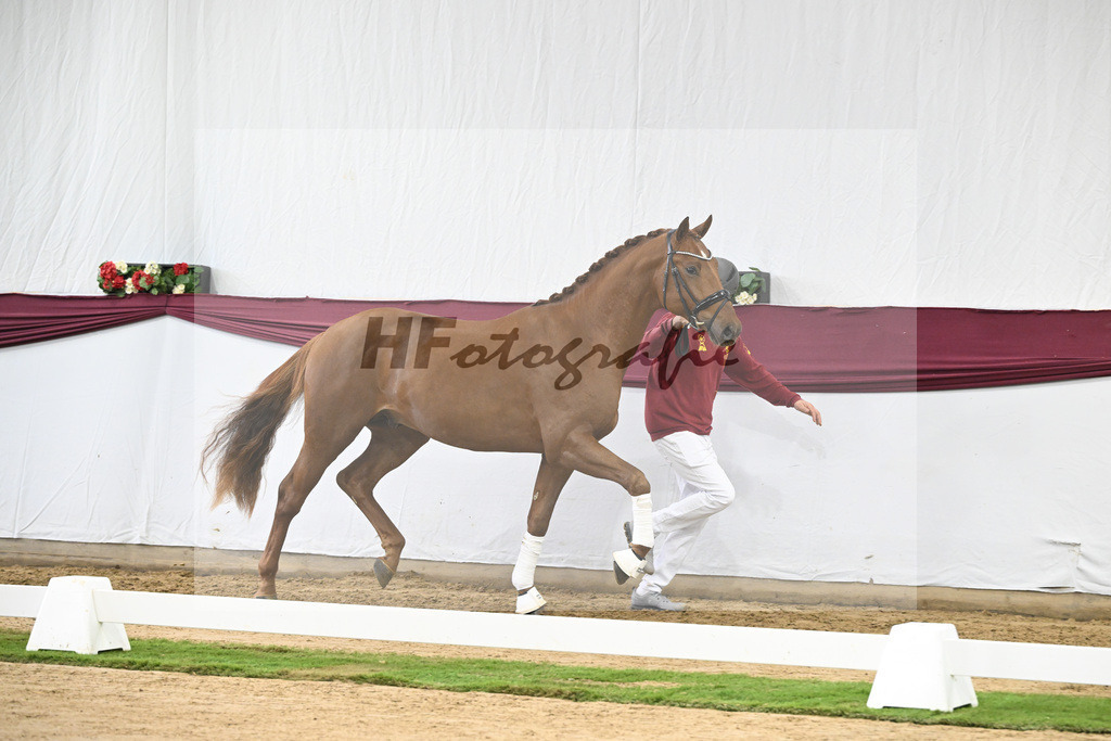 Kat-Nr. 122 Fynch Hatton x De Niro_Wolfgang Reich_47253586 | hf-fotografie - Realisiert mit Pictrs.com