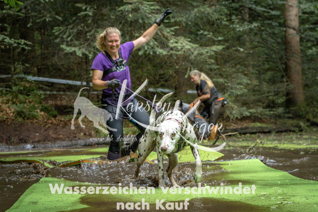 1530_ZZ90999-Bearbeitet | kk-dogfotos