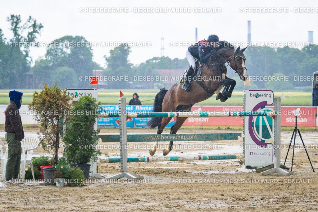 DSC04455 | Pferdegrafie