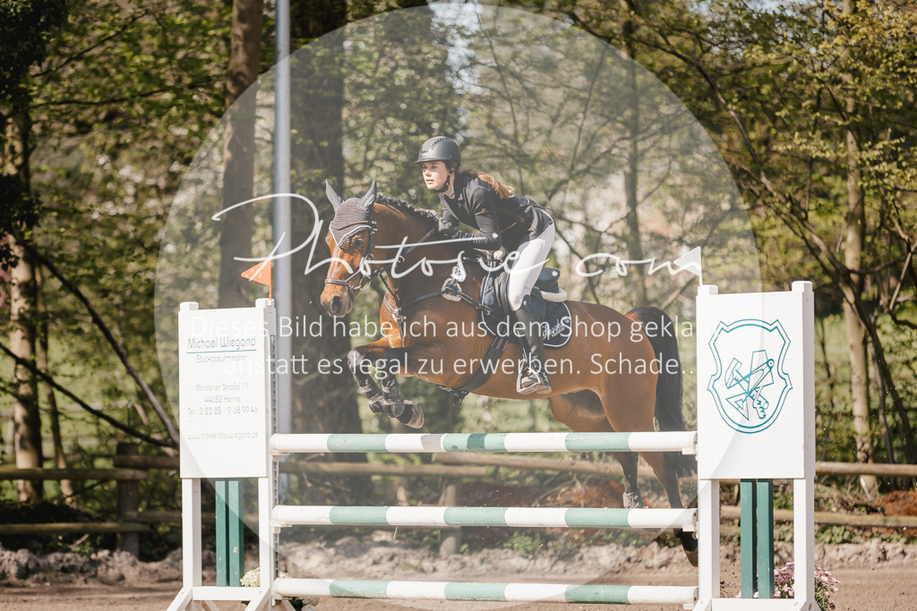 3I6A3935 | Stimmungsvolle Portraits und Reitsportfotografie im Ruhrgebiet und im Münsterland.

Pferdefotografie, Hundefotografie, Tierfotografie, Reportagen, Portraits von Tier und Mensch, Turnierfotografie in Bochum, Recklinghausen, Marl, Haltern am See, Dülmen.. - Realisiert mit Pictrs.com