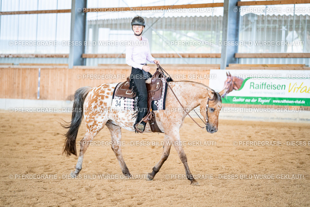 DSC02555 | Pferdegrafie