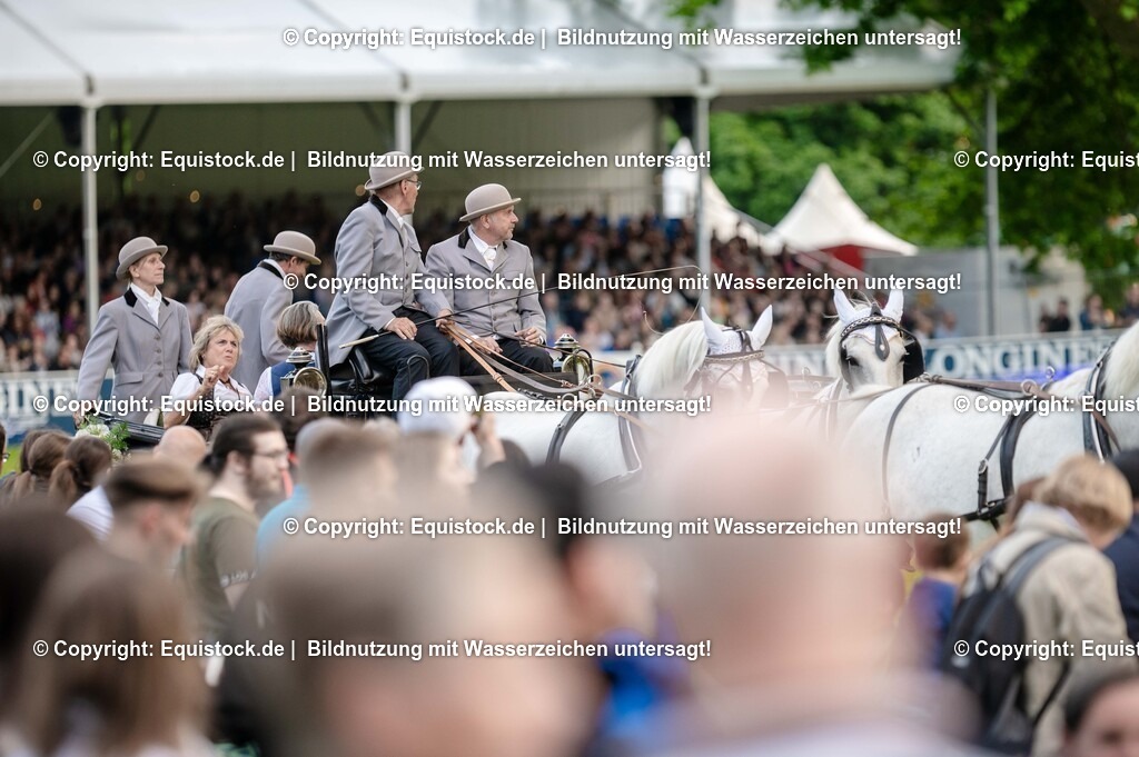 20250606_Lange-Pferdenacht_0253 | Foto: Thomas Hartig