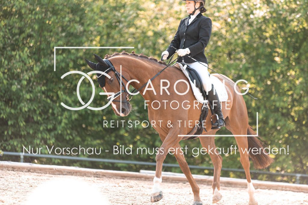 DSC_9140 | Turnierfotografin Carolin Gieschke, Turnierfotografie Carolin G Fotografie, Turnierfotos Kirchheim/Teck, Esslingen, Stuttgart, Bodenseekreis