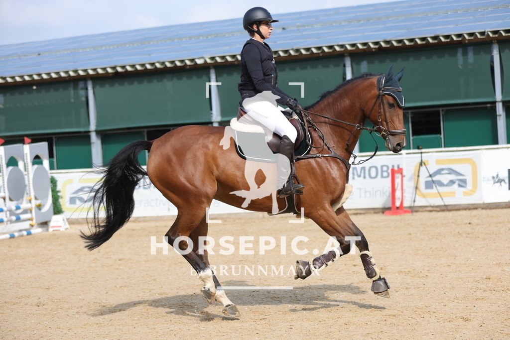 0P6A1812 | Willkommen bei Brunnmayr - Design & Fotografie – Ihrem Spezialisten für Reitturniere und Pferdeveranstaltungen in Oberösterreich, Salzburg und Bayern! Seit über 17 Jahren sind wir leidenschaftlich dabei.