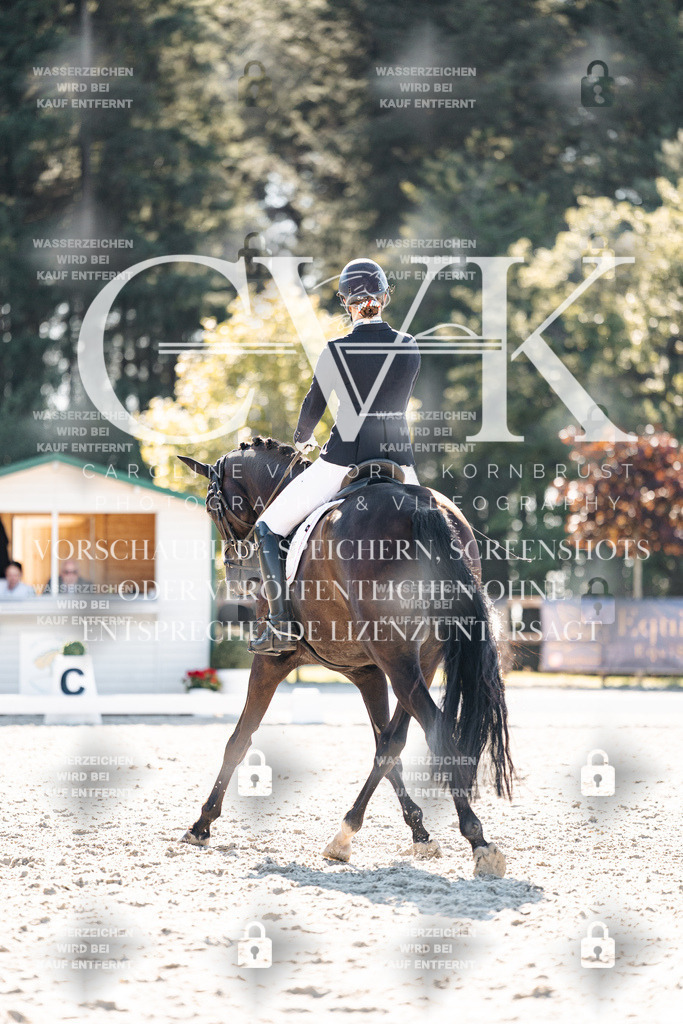 CK905569 | Turnierfotografie Pferdefotografie Trier Rheinland-Pfalz Pferdesport Reitsport Tierfotografie Sportfotografie Pferdevideo Pferdevideografie Equestrianvideography equestrianphotography  - Realisiert mit Pictrs.com