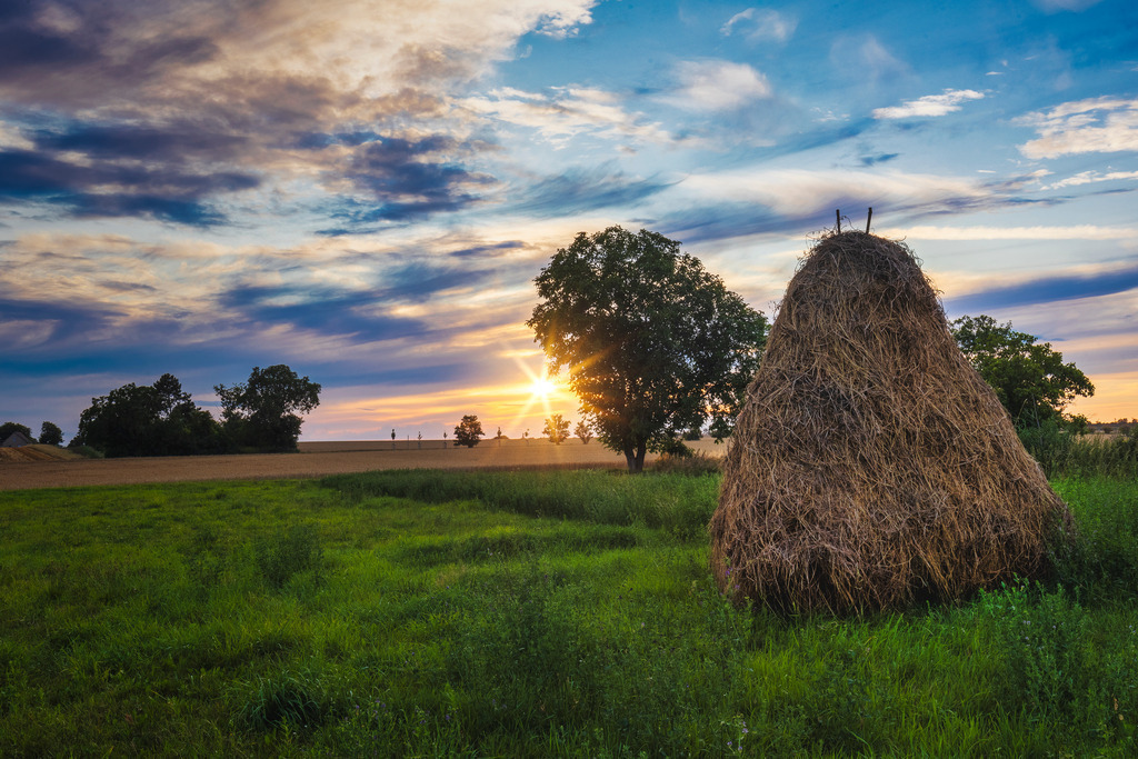 Heugarbe und Sommerabend | Wir machen aus Ihren Bildern Erinnerungen für die Ewigkeit | Hochwertige Fotografien für Ihr zu Hause. - Realisiert mit Pictrs.com