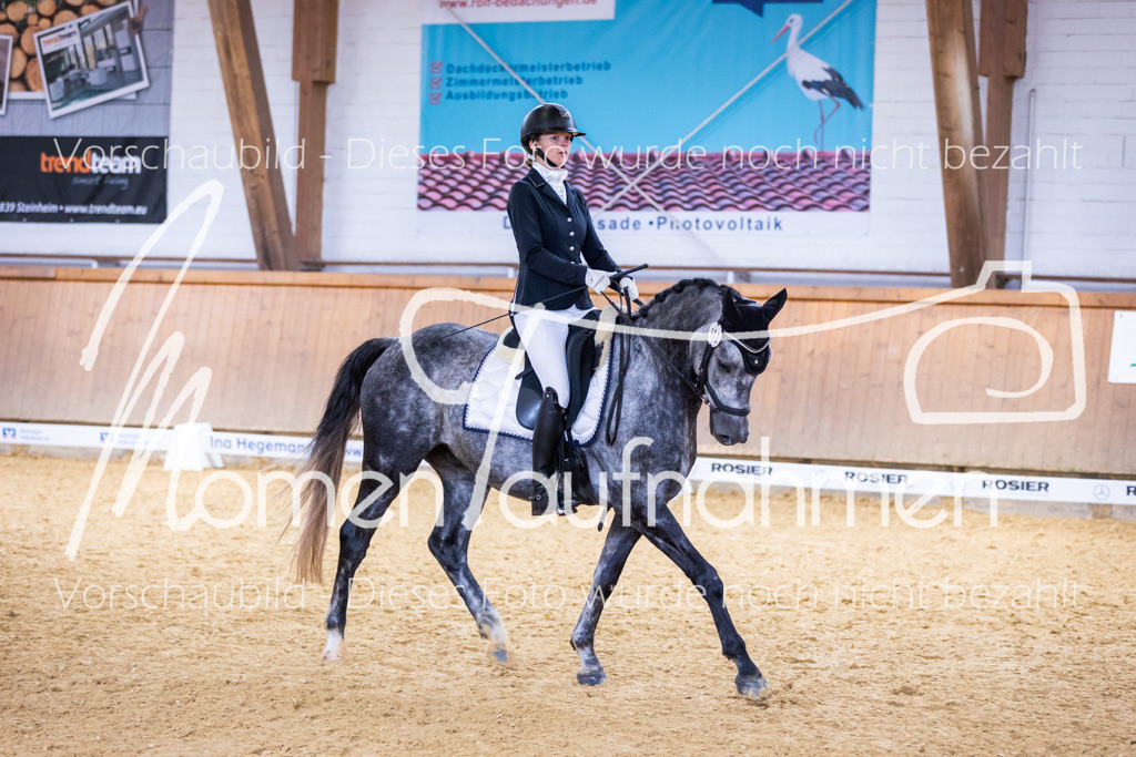 Sth-A-Dre-2St-195 | MomenTaufnahmen Pferdesportfotos