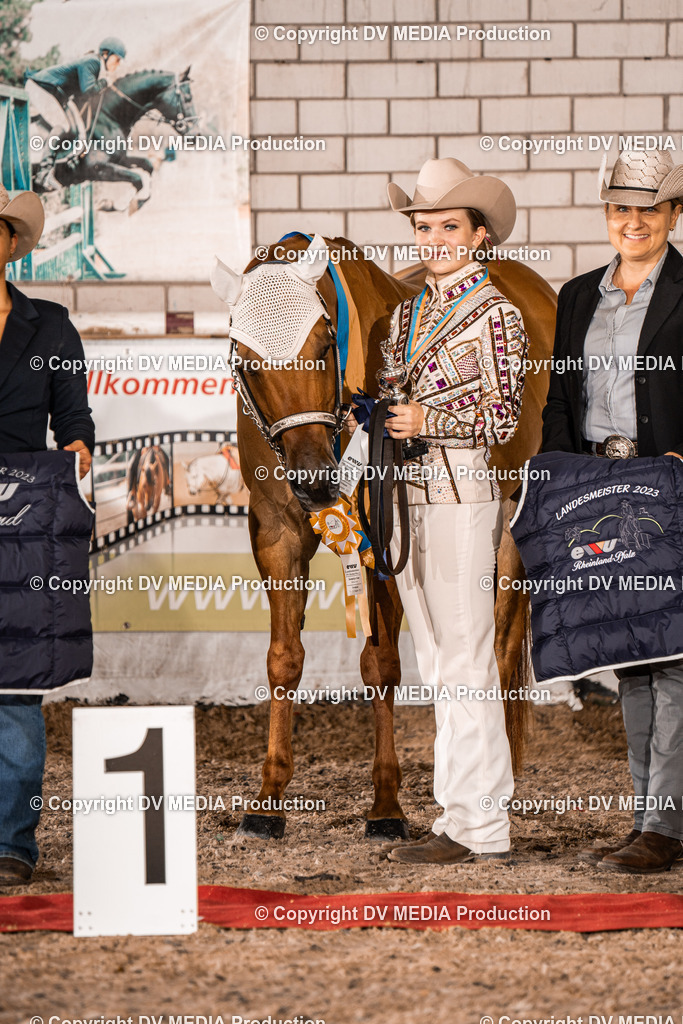 ZH100259 | dv-media-shop - Realisiert mit Pictrs.com