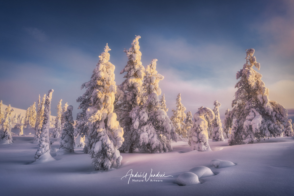 Wintertraum Lappland | Andre Wandrei - Nature Artworx - Realisiert mit Pictrs.com
