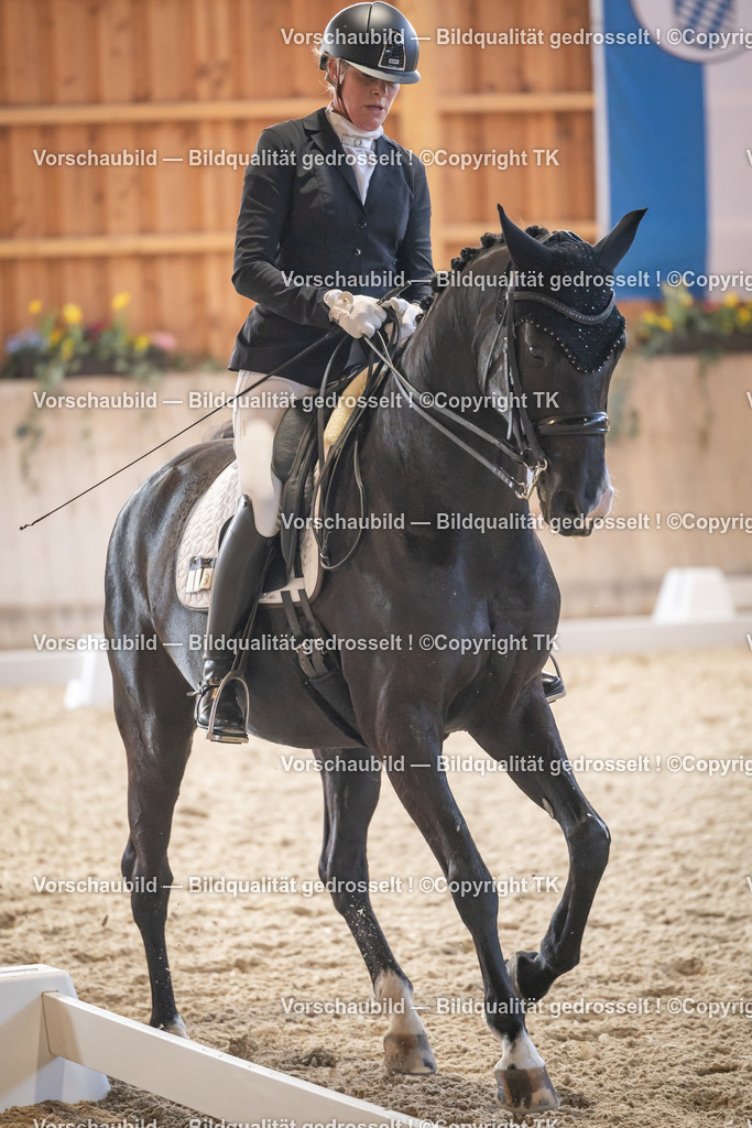 _D5A2690 | Emotionale Pferde- & People-Fotografie rund um Heidelberg, Leimen & Umgebung. Natürliche Fotos von Pferd, Mensch & Familie. Jetzt Termin sichern!