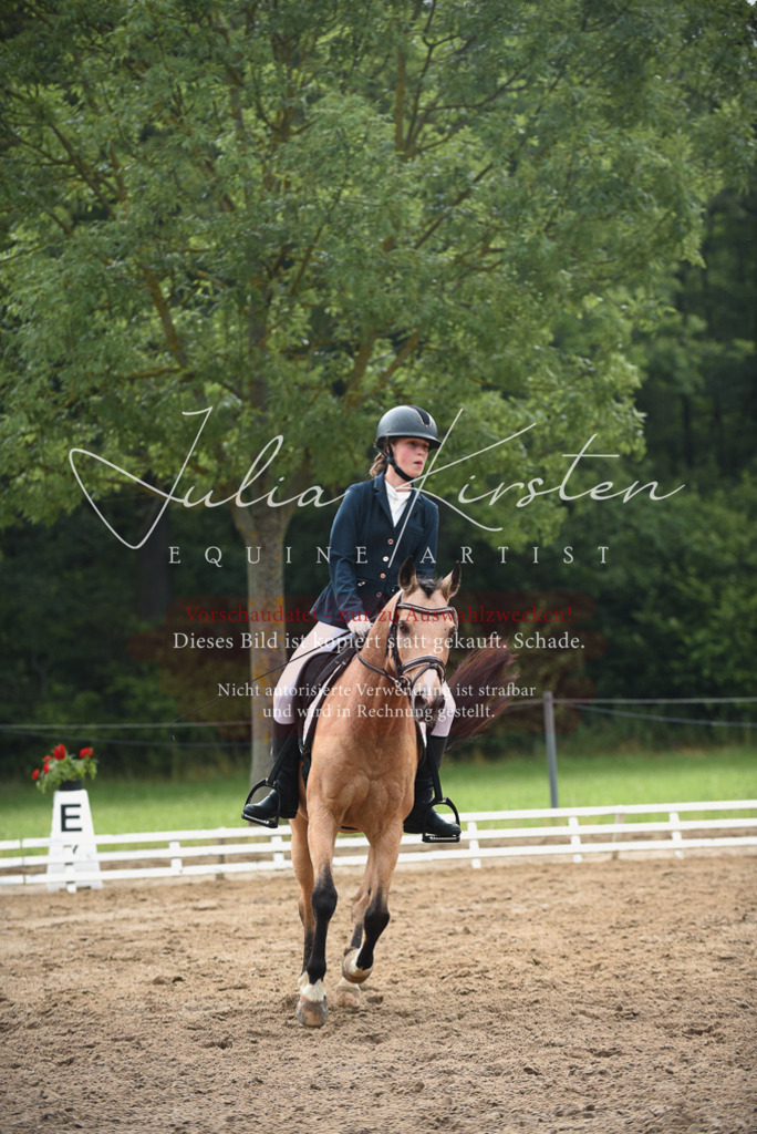 DSC_0090 | Pferde- und Turnierfotografie in Westsachsen. Pferdeportraits, Auftragszeichnungen und intuitive Kunst.