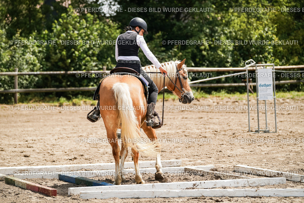 DSC07074 | Pferdegrafie