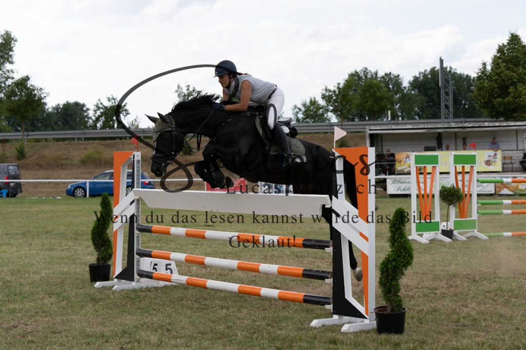 A7V02494 | Pferdefotograf