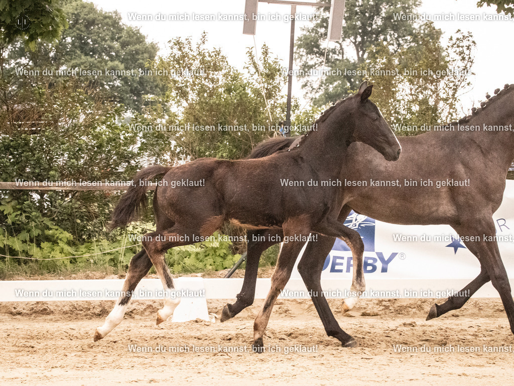 A10I1614 | photographylinaismer - Realisiert mit Pictrs.com