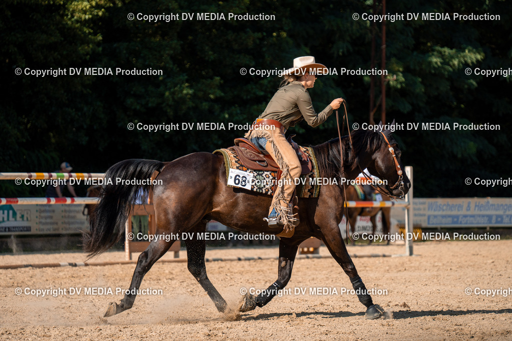 ZH100784 | dv-media-shop - Realisiert mit Pictrs.com