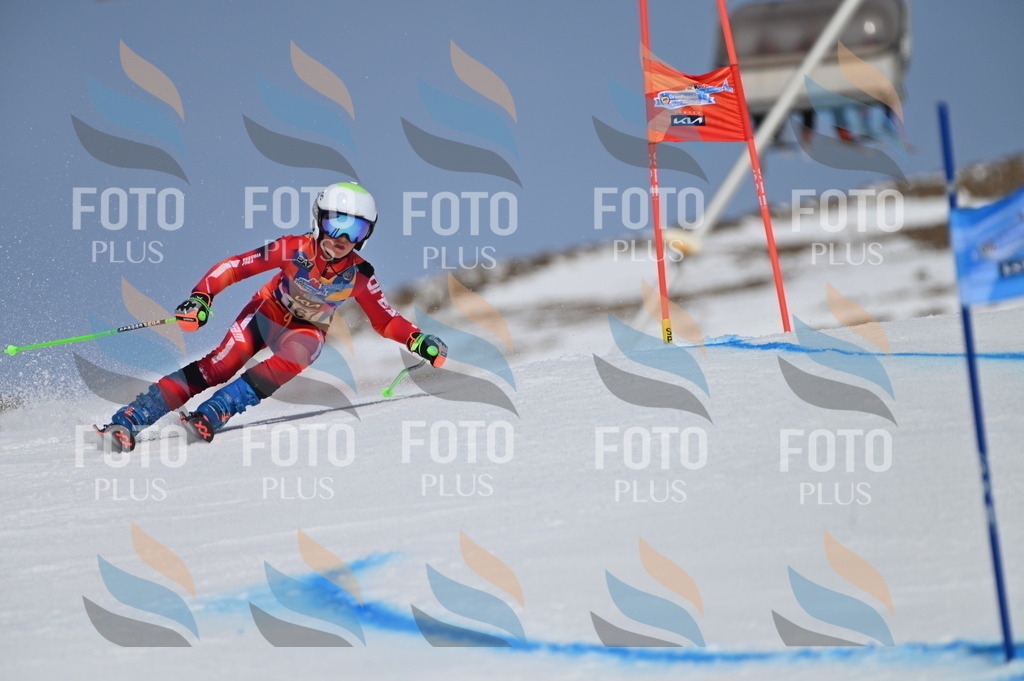 BGV_3315 | holidayphoto