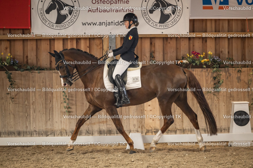 _D5A9469 | Emotionale Pferde- & People-Fotografie rund um Heidelberg, Leimen & Umgebung. Natürliche Fotos von Pferd, Mensch & Familie. Jetzt Termin sichern!