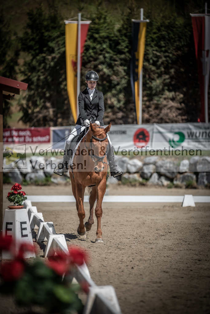 DSC_0010 | equestrian-live-com