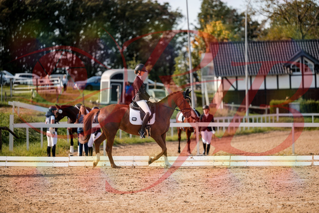 2026_10_03_Siefer-Hof_132856_Z63_90491191 | Professionelle Reitsport-, Turnier- und Eventfotografie von Robert Broda. Galerien mit ausgewählten und bearbeiteten Bildern direkt online ansehen und bestellen.