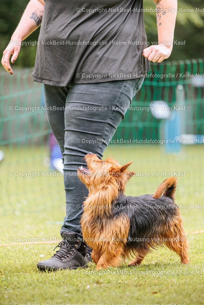 RO-Blumenthal-2026-Nickbest-Hundefotografie-2181 | Dein Hund! Dein Moment! Deine Erinnerungen! Hundefotografie in Bremen Blumenthal. Ich fange die besonderen Momente deines Vierbeiners ein – ob Indoor mit Blitzanlage oder in der freien Natur. Sicher dir dein Moment und dein Termin für eure Erinnerungen.