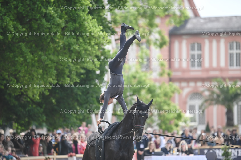 20240519_Voltige_0492 | Foto: Thomas Hartig