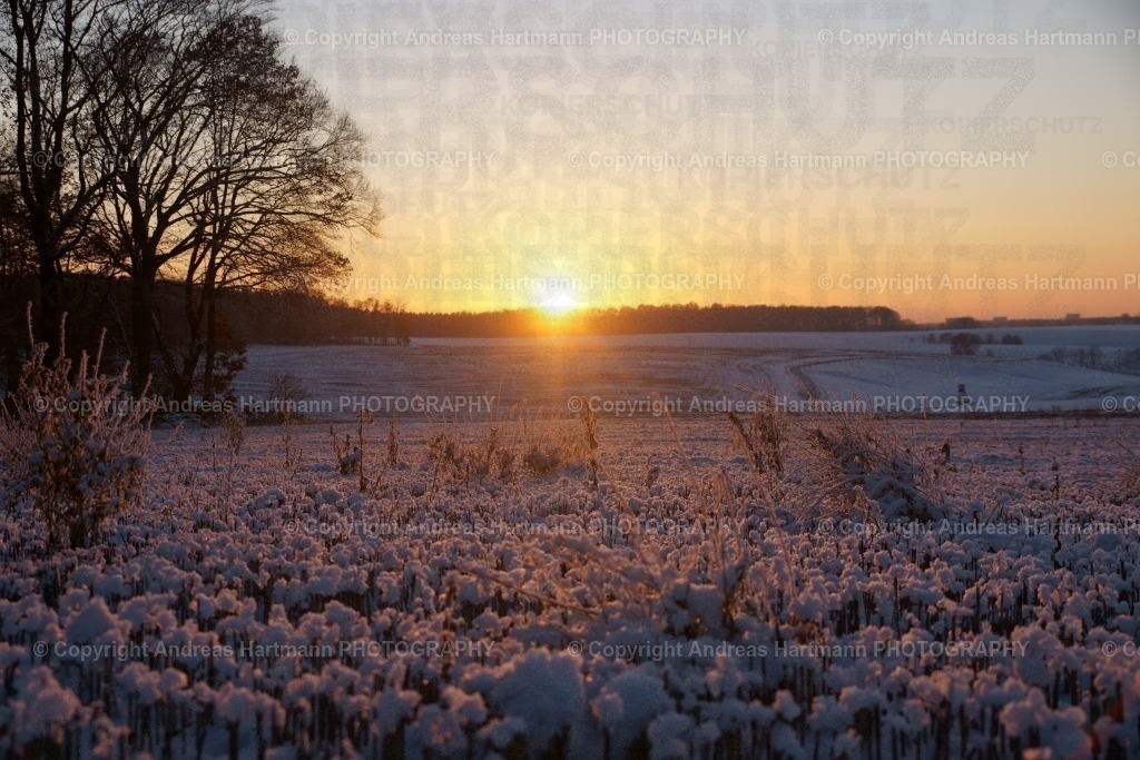 Sonnenuntergang Stoppelfelder im Schnee | Sonnenuntergang Stoppelfelder im Schnee im Rimmelsgrund zwischen Tautenhain und Weißenborn - Realisiert mit Pictrs.com